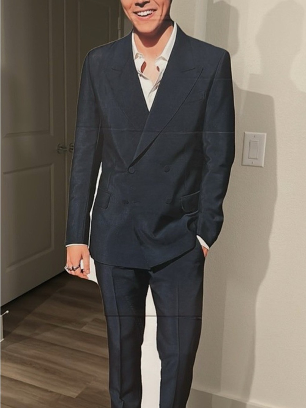 Harry Styles Cardboard Cut out